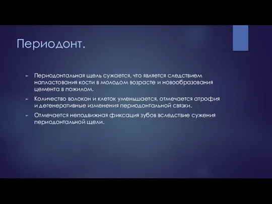 Периодонт. Периодонтальная щель сужается, что является следствием напластования кости в молодом