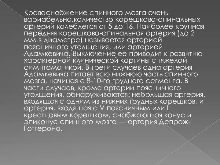 Кровоснабжение спинного мозга очень вариабельно,количество корешково-спинальных артерий колеблется от 5 до