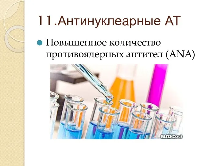 11.Антинуклеарные АТ Повышенное количество противоядерных антител (ANA)