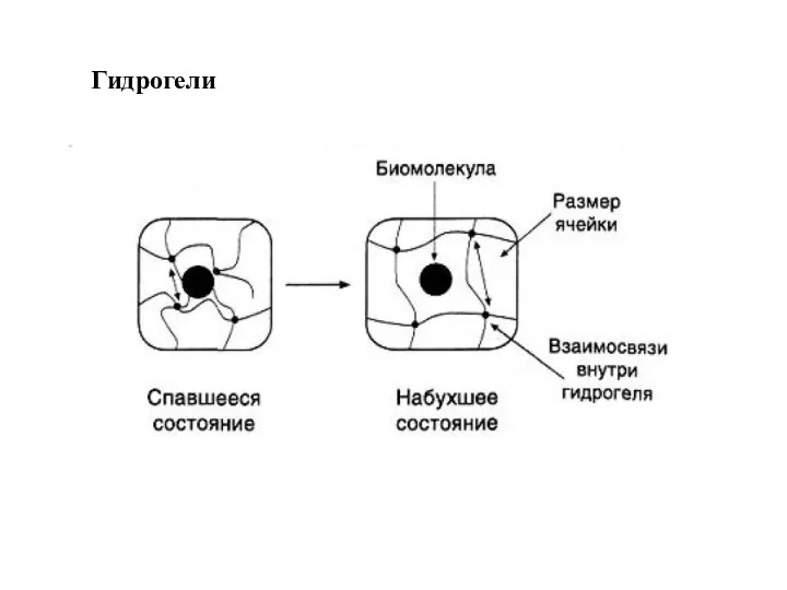 Гидрогели