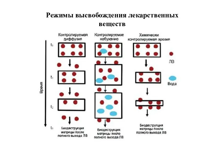 Режимы высвобождения лекарственных веществ