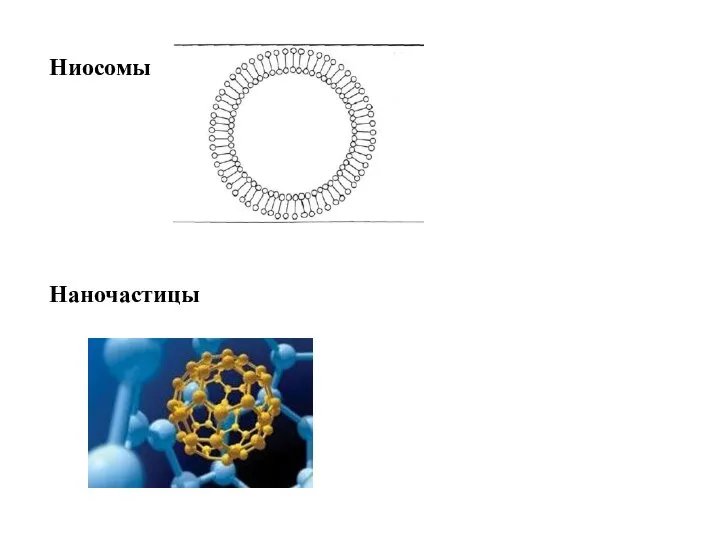 Ниосомы Наночастицы