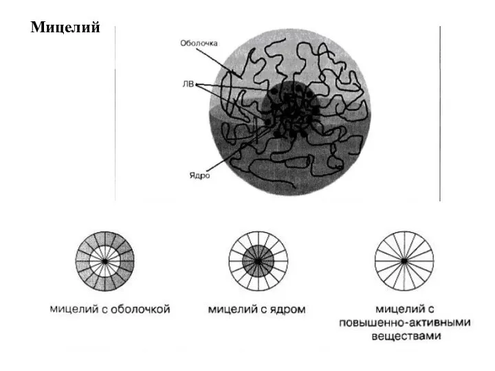 Мицелий