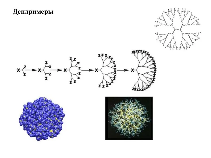 Дендримеры