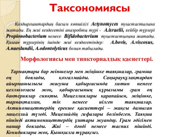 Таксономиясы Қоздырғыштардың басым көпшілігі Actynomyces туыстастығына жатады. Ең жиі кездесетіні анаэробты