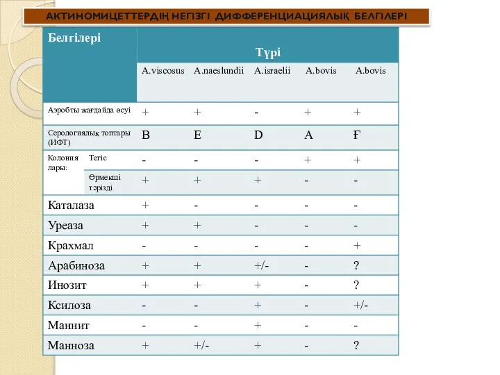 АКТИНОМИЦЕТТЕРДІҢ НЕГІЗГІ ДИФФЕРЕНЦИАЦИЯЛЫҚ БЕЛГІЛЕРІ