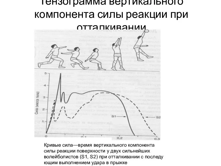 Тензограмма вертикального компонента силы реакции при отталкивании