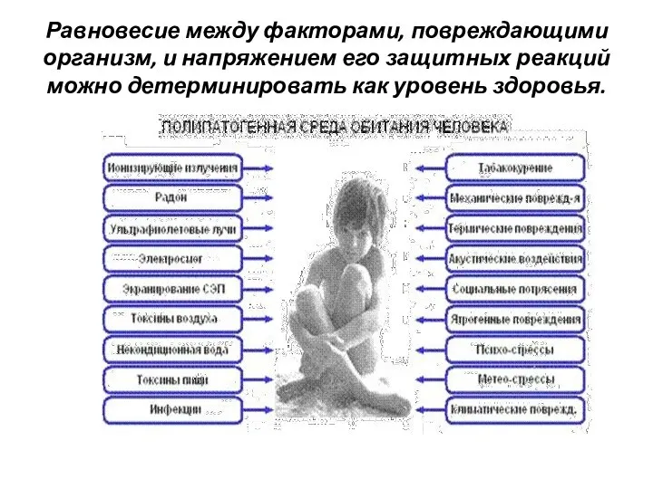 Равновесие между факторами, повреждающими организм, и напряжением его защитных реакций можно детерминировать как уровень здоровья.