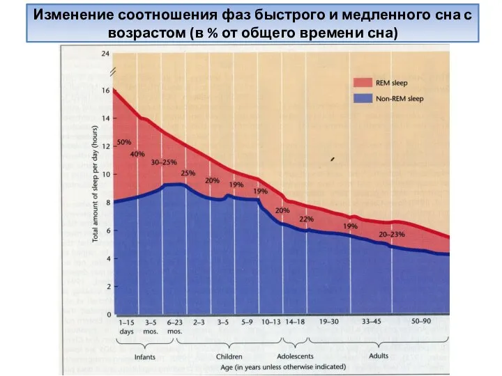 Изменение соотношения фаз быстрого и медленного сна с возрастом (в % от общего времени сна)