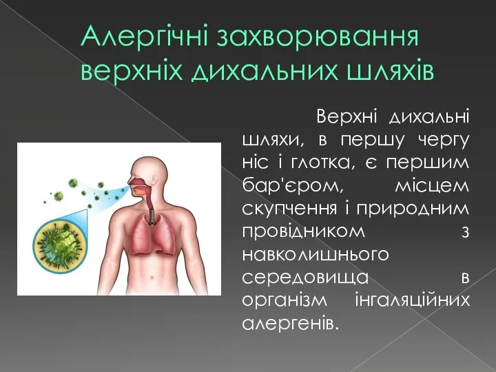 Алергічні захворювання верхніх дихальних шляхів Верхні дихальні шляхи, в першу чергу