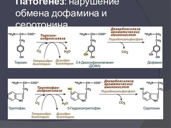 Патогенез: нарушение обмена дофамина и серотонина.