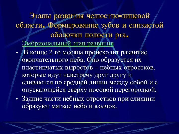 Этапы развития челюстно-лицевой области. Формирование зубов и слизистой оболочки полости рта.