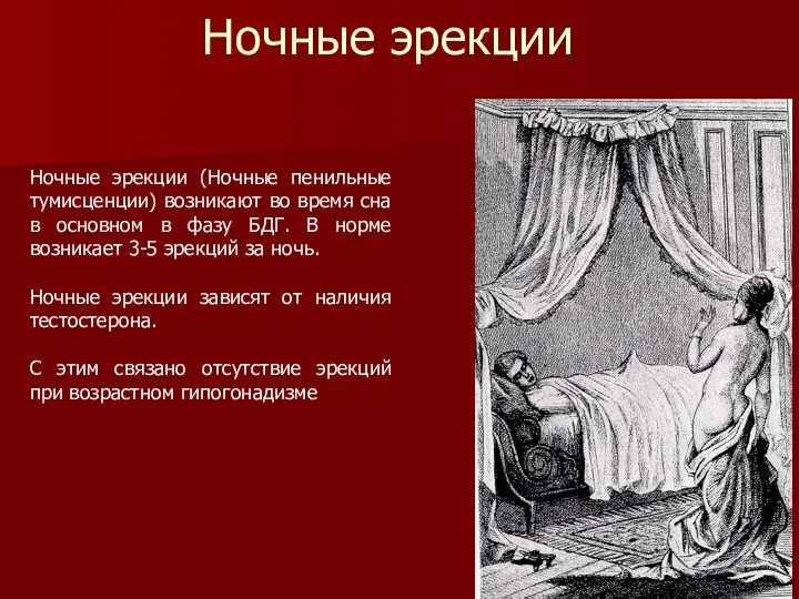 Ночные эрекции (Ночные пенильные тумисценции) возникают во время сна в основном