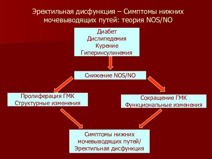 Диабет Дислипедемия Курение Гиперинсулинемия Снижение NOS/NO Пролиферация ГМК Структурные изменения Сокращение