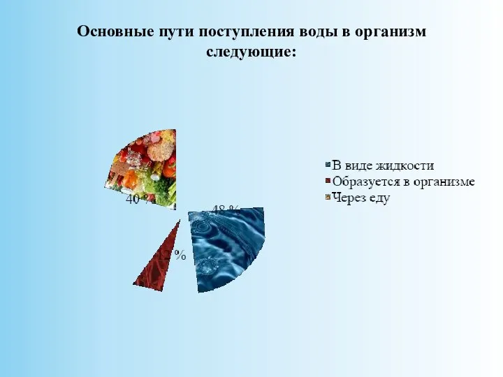 Основные пути поступления воды в организм следующие: