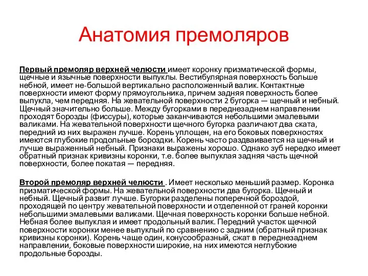 Анатомия премоляров Первый премоляр верхней челюсти имеет коронку призматической формы, щечные