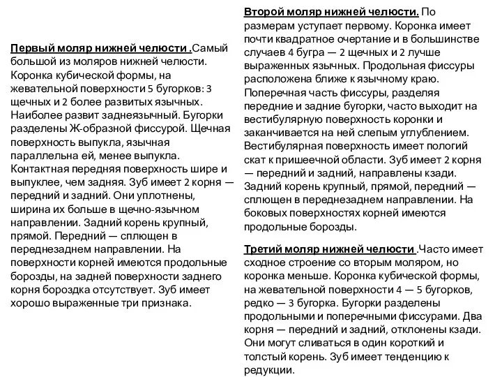 Первый моляр нижней челюсти .Самый большой из моляров нижней челюсти. Коронка