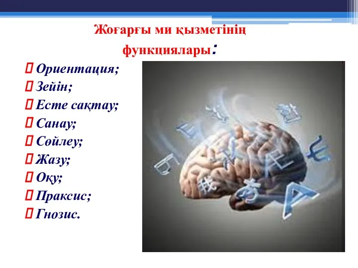 Жоғарғы ми қызметінің функциялары: Ориентация; Зейін; Есте сақтау; Санау; Сөйлеу; Жазу; Оқу; Праксис; Гнозис.