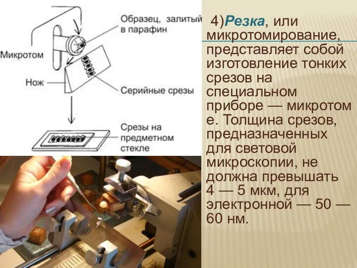 4)Резка, или микротомирование, представляет собой изготовление тонких срезов на специальном приборе