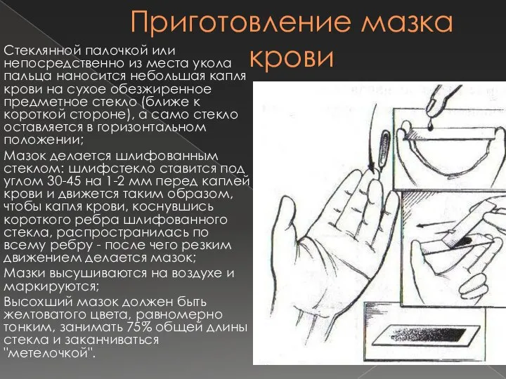 Приготовление мазка крови Стеклянной палочкой или непосредственно из места укола пальца