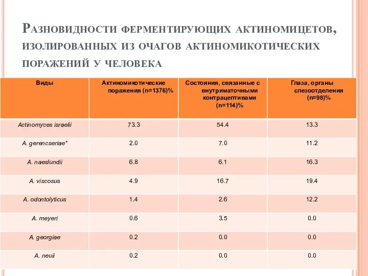 Разновидности ферментирующих актиномицетов, изолированных из очагов актиномикотических поражений у человека