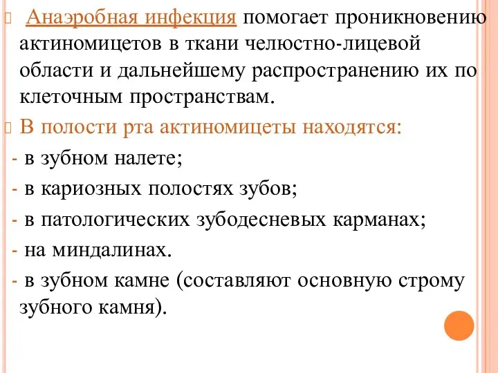 Анаэробная инфекция помогает проникновению актиномицетов в ткани челюстно-лицевой области и дальнейшему