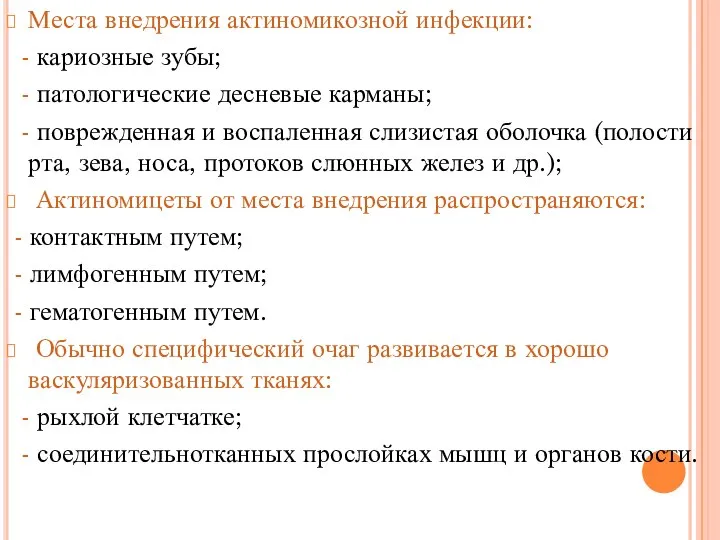 Места внедрения актиномикозной инфекции: - кариозные зубы; - патологические десневые карманы;