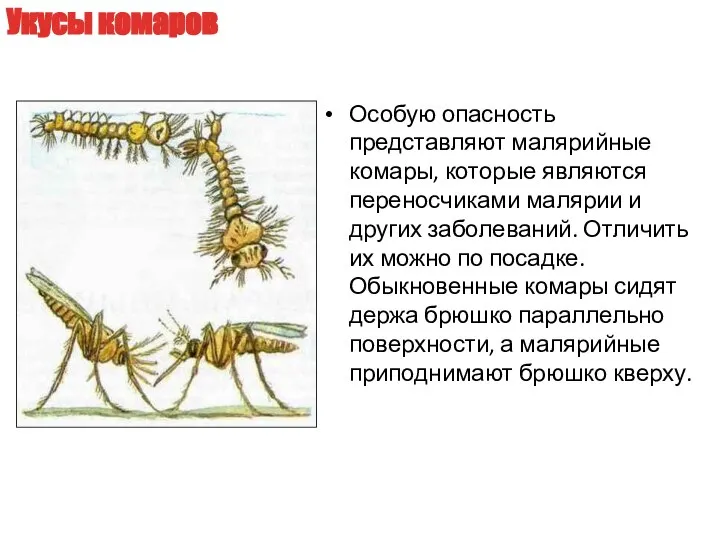 Особую опасность представляют малярийные комары, которые являются переносчиками малярии и других