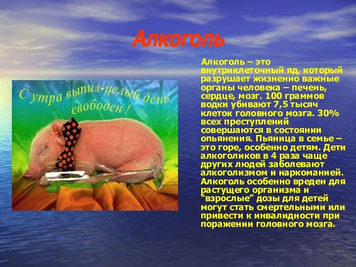 Алкоголь Алкоголь – это внутриклеточный яд, который разрушает жизненно важные органы