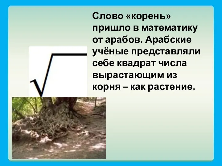 Слово «корень» пришло в математику от арабов. Арабские учёные представляли себе