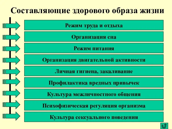 Составляющие здорового образа жизни Режим труда и отдыха Организация двигательной активности