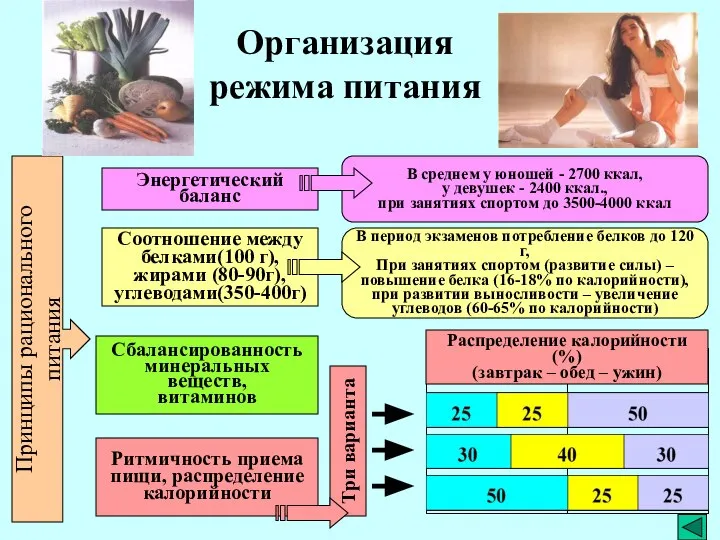 Организация режима питания Принципы рационального питания Энергетический баланс Соотношение между белками(100