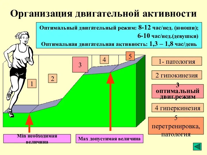 Организация двигательной активности 1 2 3 4 5 Min необходимая величина