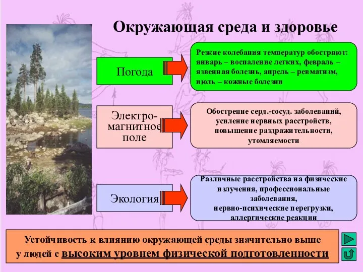 Окружающая среда и здоровье Погода Электро- магнитное поле Экология Резкие колебания