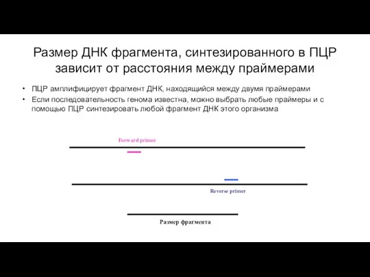 Размер ДНК фрагмента, синтезированного в ПЦР зависит от расстояния между праймерами