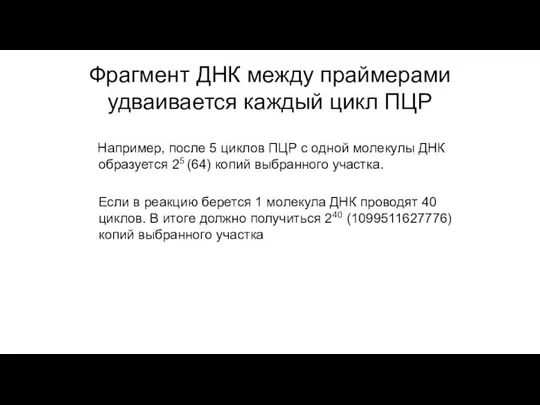 Фрагмент ДНК между праймерами удваивается каждый цикл ПЦР Например, после 5