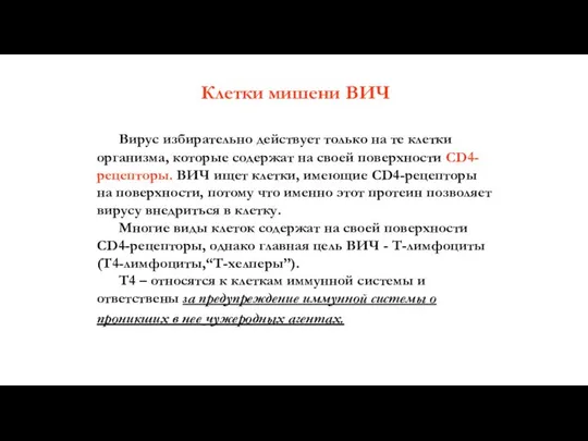 Клетки мишени ВИЧ Вирус избирательно действует только на те клетки организма,