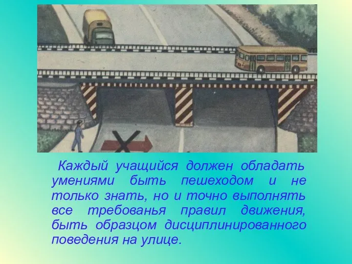 Каждый учащийся должен обладать умениями быть пешеходом и не только знать,