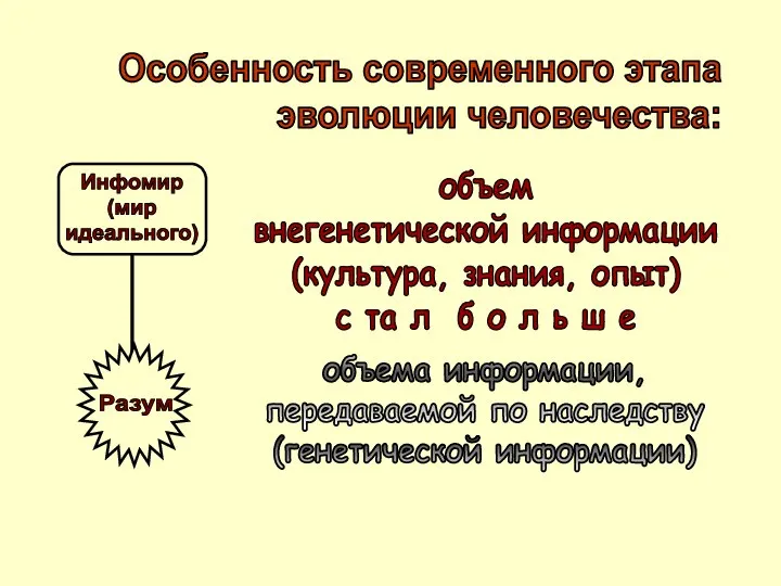 Особенность современного этапа эволюции человечества: объем внегенетической информации (культура, знания, опыт)