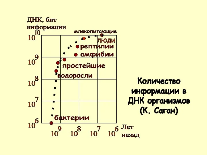 ДНК, бит информации Лет назад Количество информации в ДНК организмов (К. Саган)