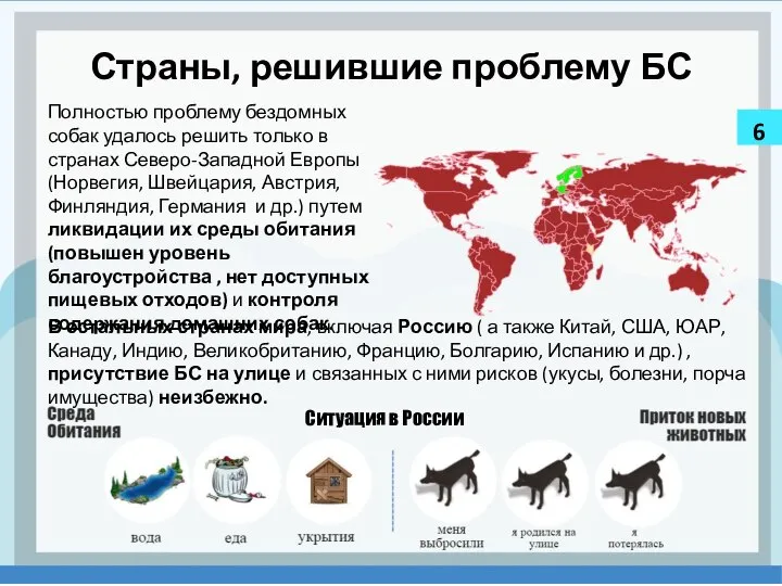 Страны, решившие проблему БС Полностью проблему бездомных собак удалось решить только