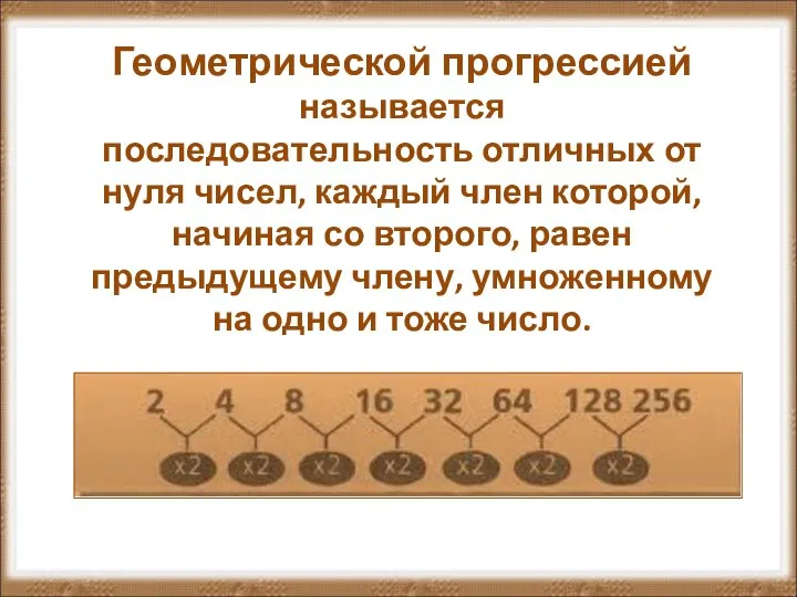 Возможности геометрической прогрессии в отношении растения одуванчик (часть 2)