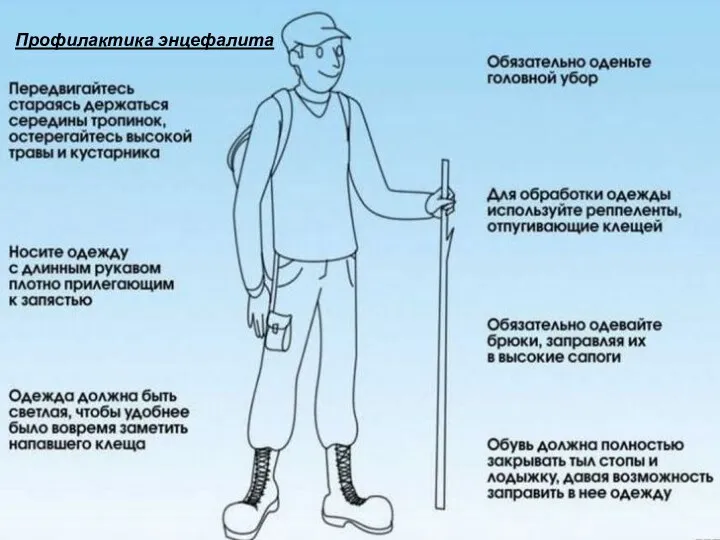 Профилактика энцефалита