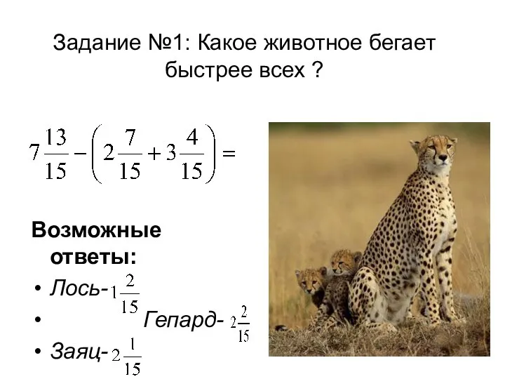 Задание №1: Какое животное бегает быстрее всех ? Возможные ответы: Лось- Гепард- Заяц-