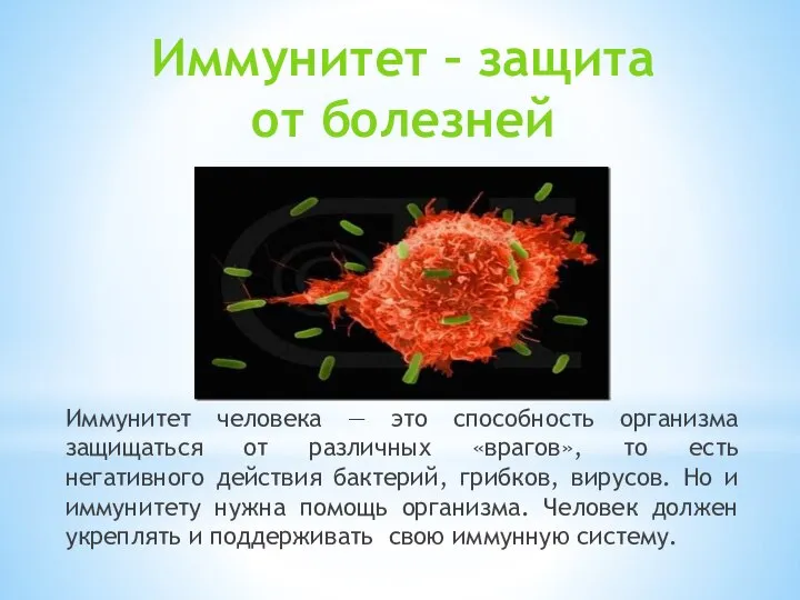 Иммунитет человека — это способность организма защищаться от различных «врагов», то