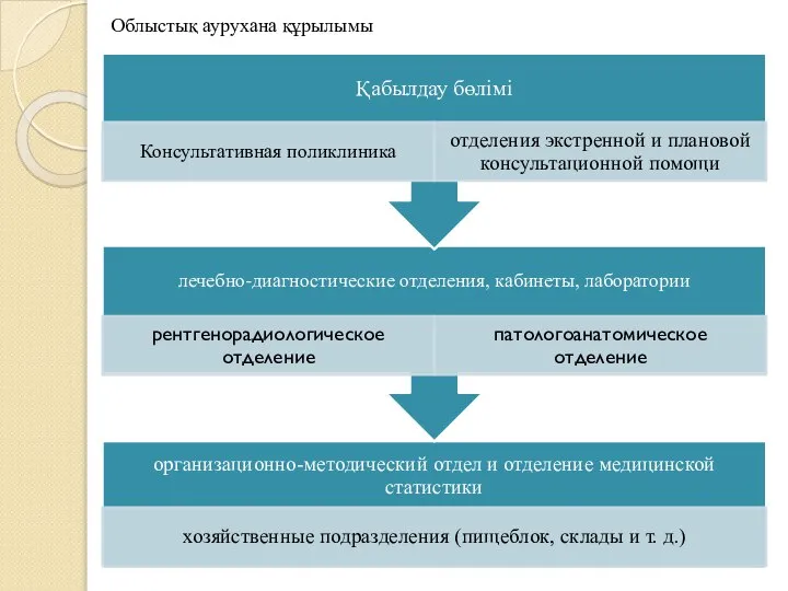 Облыстық аурухана құрылымы