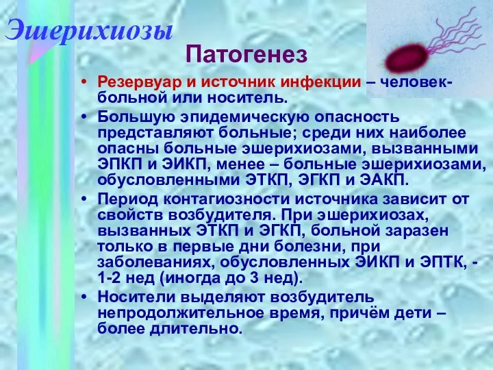 Эшерихиозы Патогенез Резервуар и источник инфекции – человек- больной или носитель.