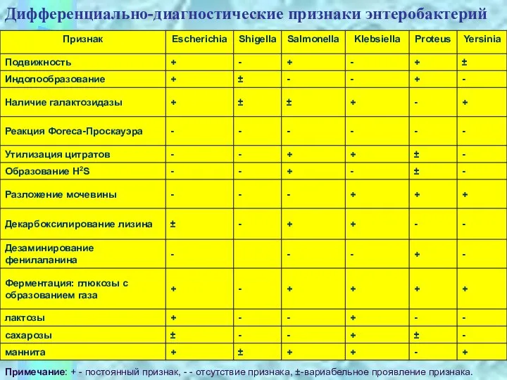 + Примечание: + - постоянный признак, - - отсутствие признака, ±-вариабельное проявление признака. Дифференциально-диагностические признаки энтеробактерий