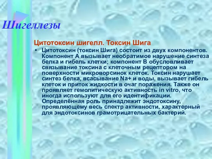 Шигеллезы Цитотоксин шигелл. Токсин Шига Цитотоксин (токсин Шига) состоит из двух