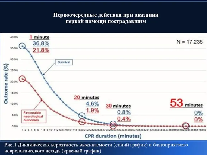 Первоочередные действия при оказании первой помощи пострадавшим Рис.1 Динамическая вероятность выживаемости